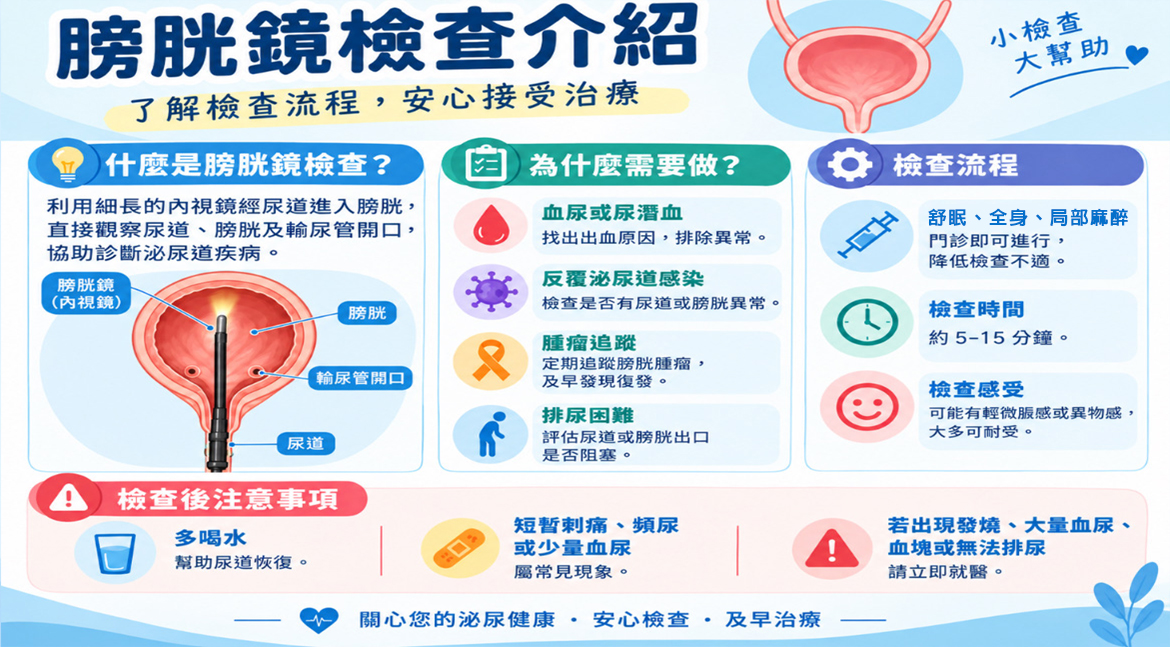 膀胱鏡檢查介紹、檢查流程與檢查後注意事項